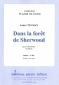 DANS LA FORT DE SHERWOOD (CLARINETTE)